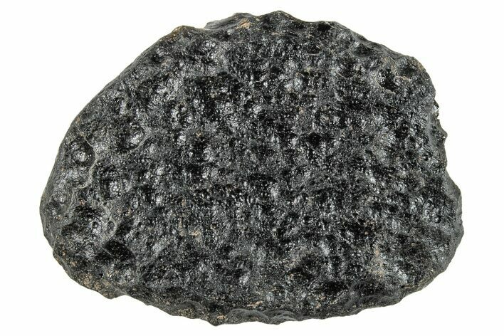 Indochinite Tektite ( g) - Pailin District, Cambodia #245443
